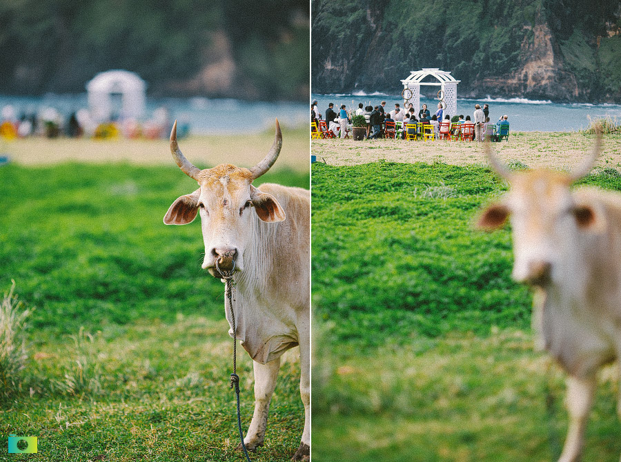 Batanes Wedding of Joyce Javillonar and John Rekstad Photography by Jayson and Joanne Arquiza