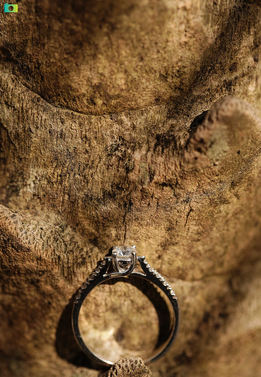 Ring Portraits by Jayson and Joanne Arquiza Photography