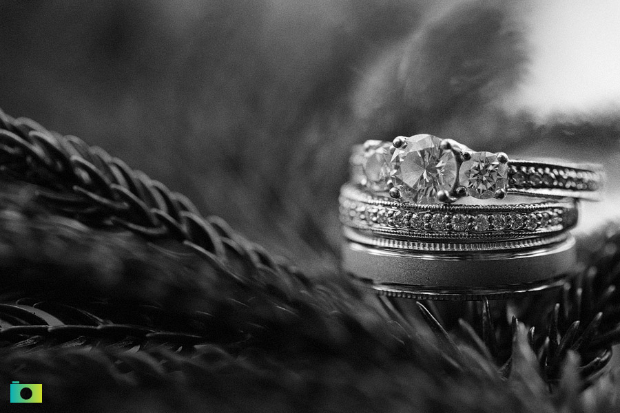 Ring Portraits by Jayson and Joanne Arquiza Photography