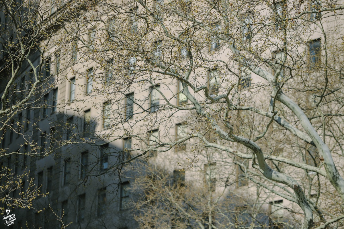 Our photo walk at NYC New York City Pinoy Photographers Jayson and Joanne Arquiza