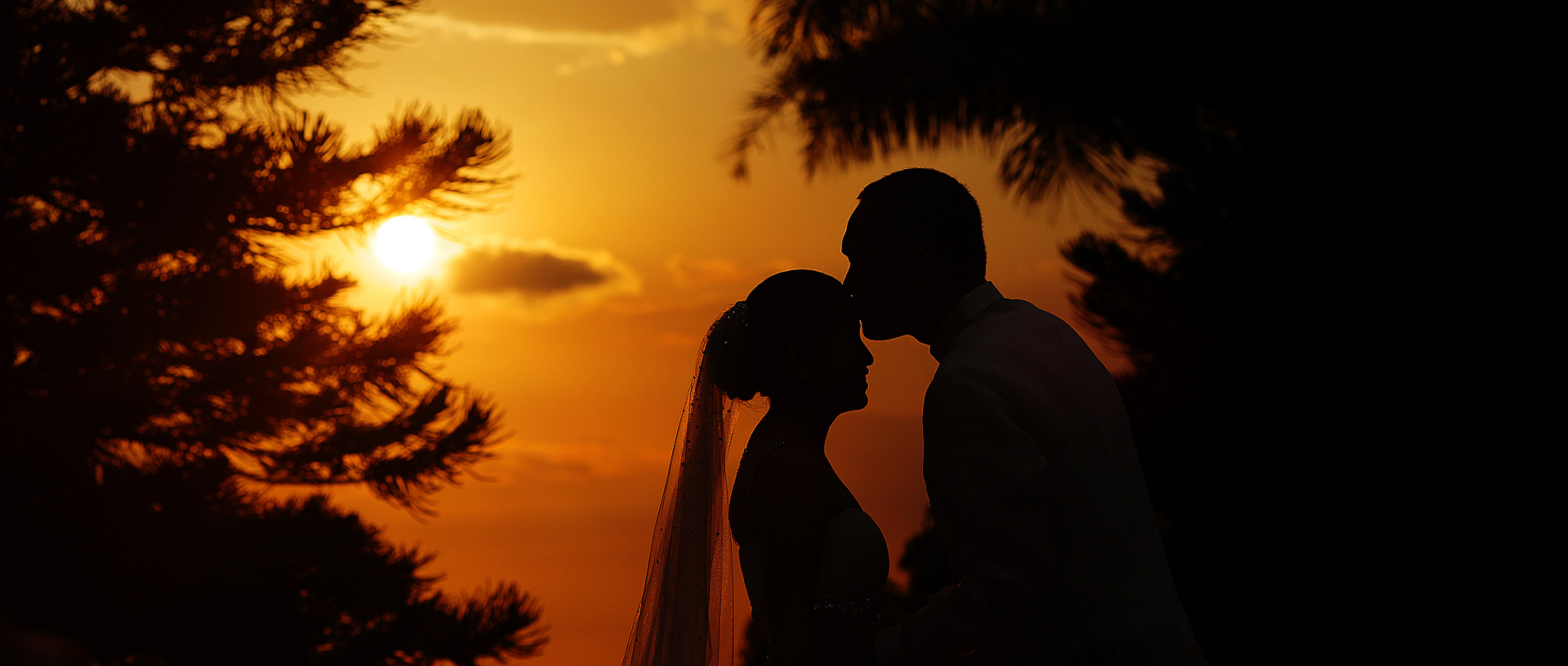 Vibrant Images by Jayson and Joanne Photography