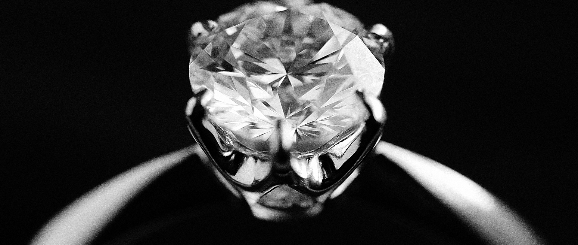 Vibrant Images by Jayson and Joanne Photography