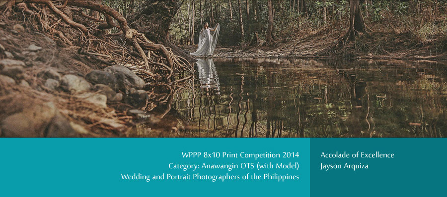 WPPP 8x10 Print Competition 2014