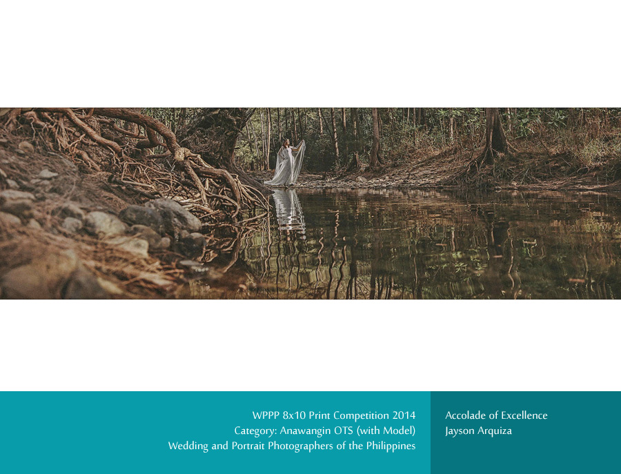 WPPP 8x10 Print Competition 2014