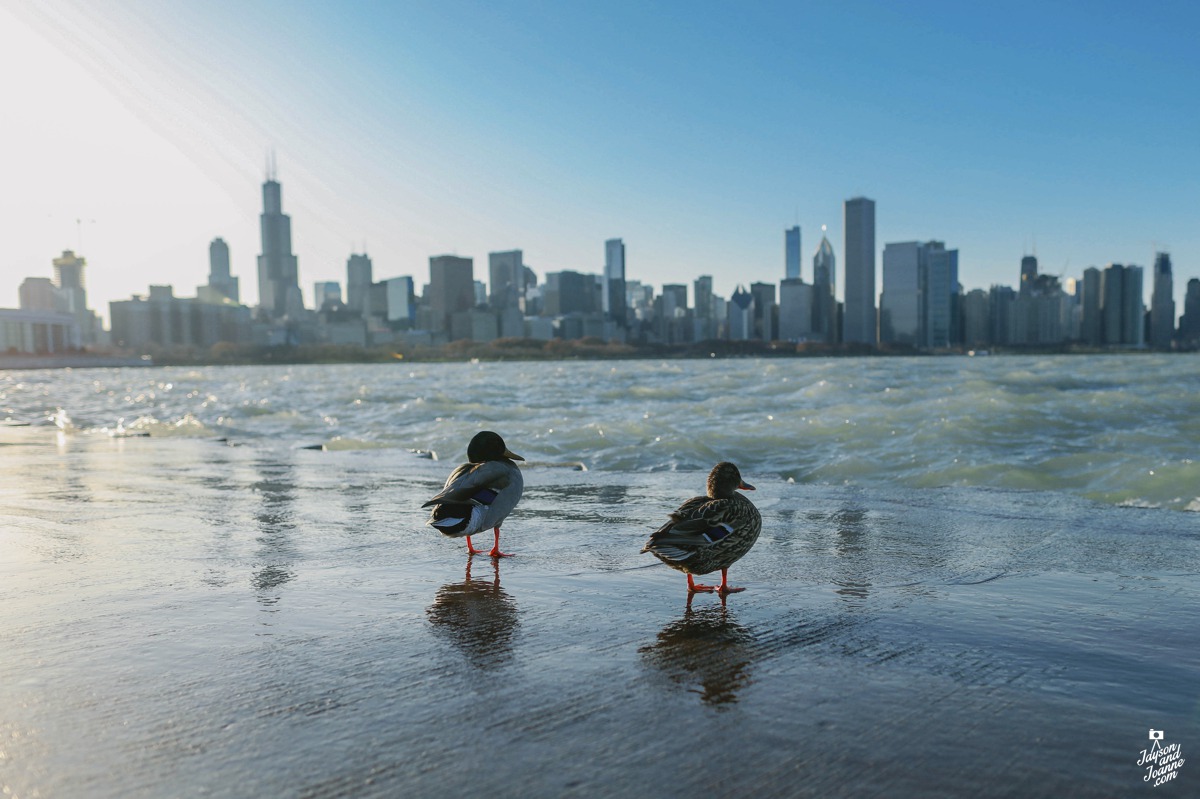 Pinoy Travel Photographers Jayson and Joanne Arquiza trip to Chicago