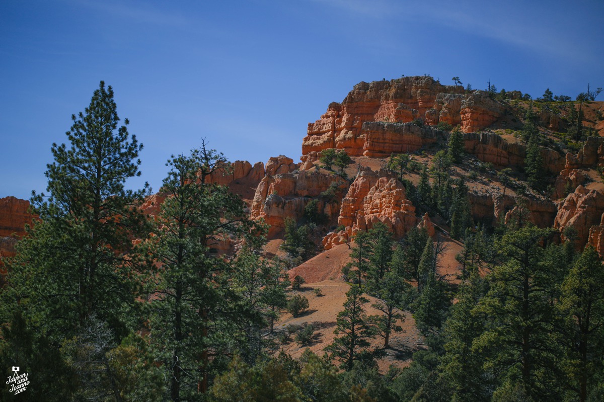 Pinoy Travel Bloggers to Utah Bryce Canyon and Zion National Park filipino photographers Jayson and Joanne