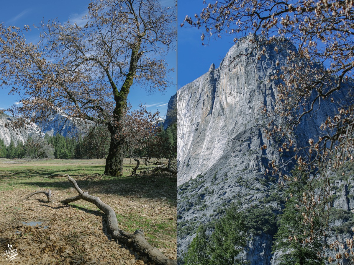 Yosemite Travel Photos by Jayson and Joanne Arquiza California Photographer