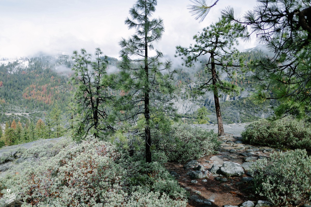 Yosemite Travel Photos by Jayson and Joanne Arquiza California Photographer