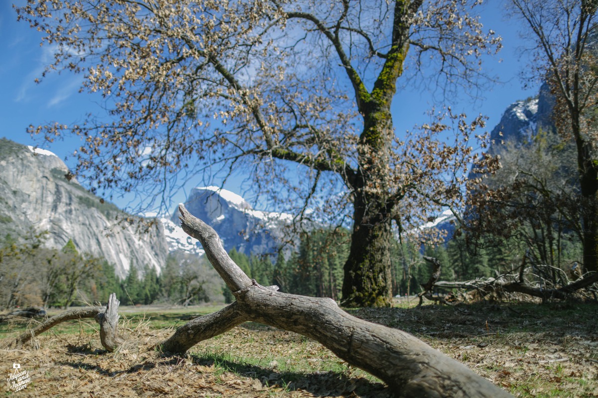 Yosemite Travel Photos by Jayson and Joanne Arquiza California Photographer